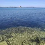 Rosadamare * Trapani