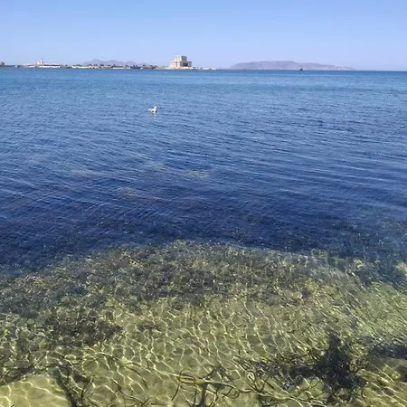 Rosadamare * Trapani