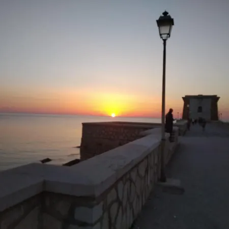 Daire Rosadamare *